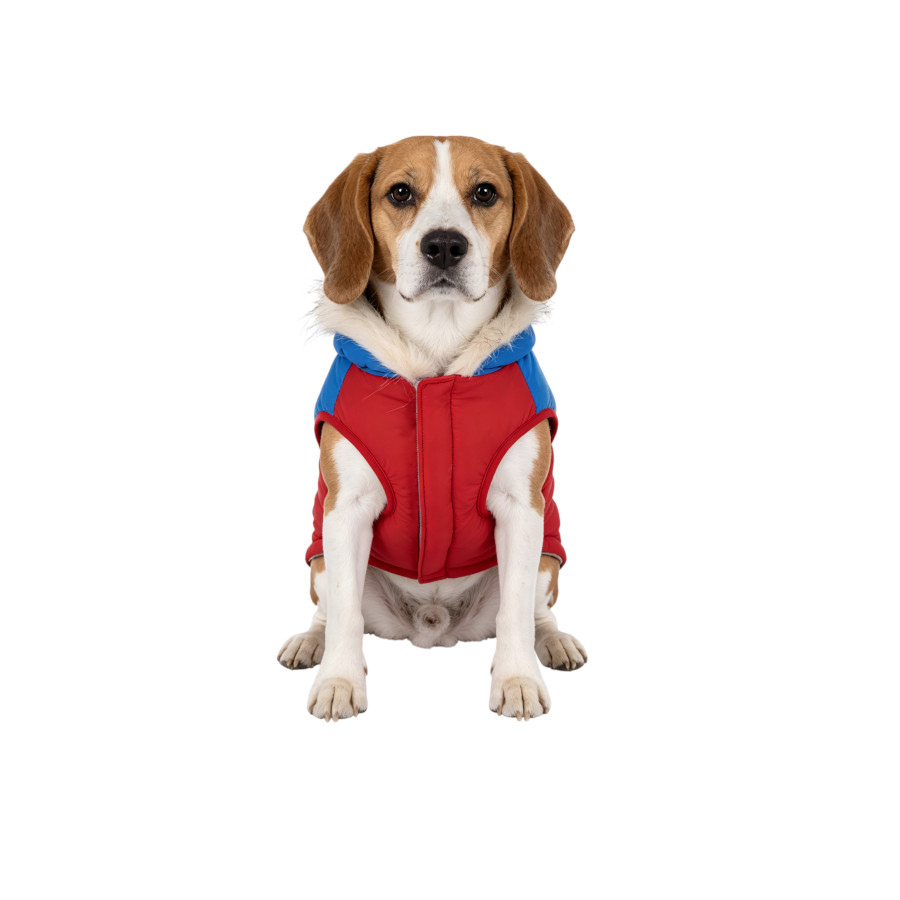 Gotoo Abrigo Rojo con Capucha para perros, , large Imagen numero 7