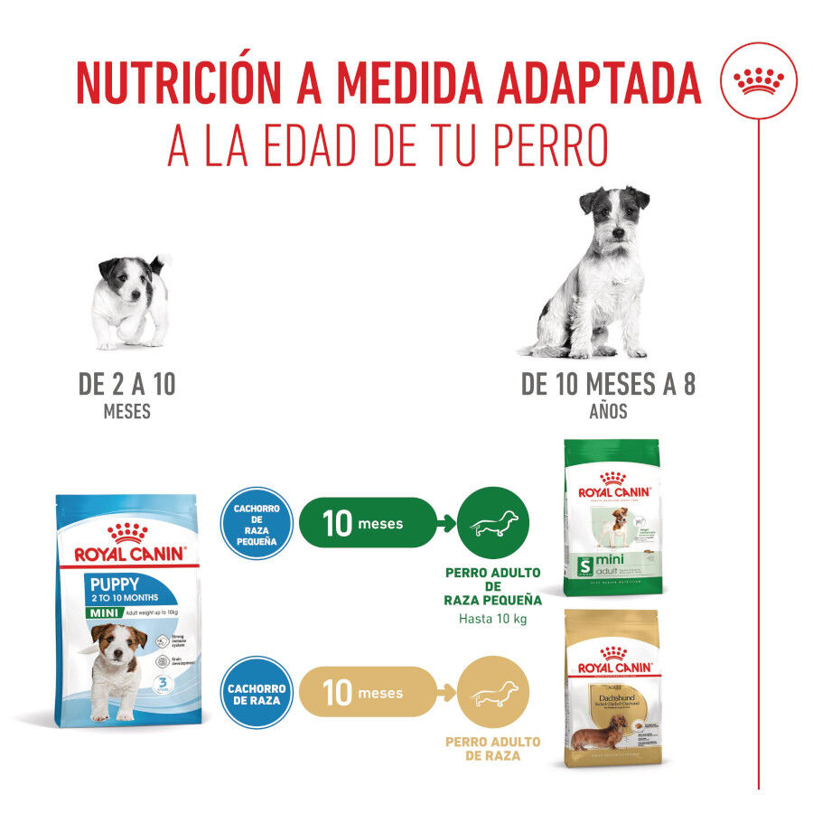 Royal Canin Mini Puppy pienso para perros thumbnail