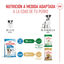 8 kg Royal Canin Mini Puppy pienso para perros, , large indicador imagen numero 7