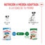 85 g Royal Canin Mini Puppy sobre en salsa, , large indicador imagen numero 6