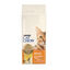 15 kg Cat Chow Adult Pollo Pienso para gatos, , large indicador imagen numero 1