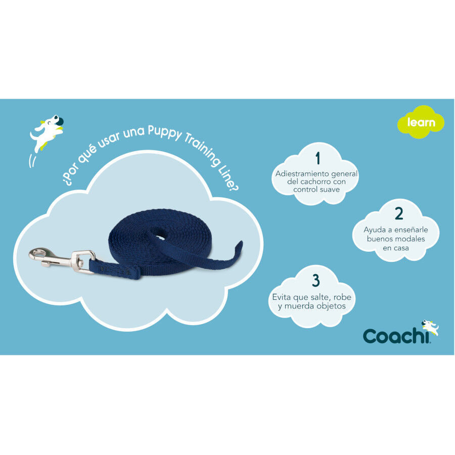 Coachi correa de adiestramiento azul para cachorros thumbnail