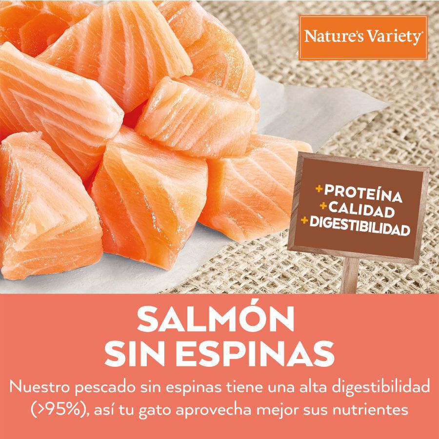 Nature&#039;s Variety Healthy Grains Adult Sterilised Salmón pienso para gatos thumbnail