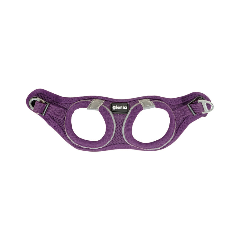Gloria Air Mesh Trek Star Arnés Morado para perros,  Imagen numero 2 Gloria Air Mesh Trek Star Arnés Morado para perros, , large Imagen numero 2