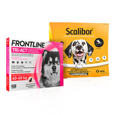 Scalibor Collar Antiparasitario 65 Cms + Frontline Tri-Act Pipetas para perros gigantes