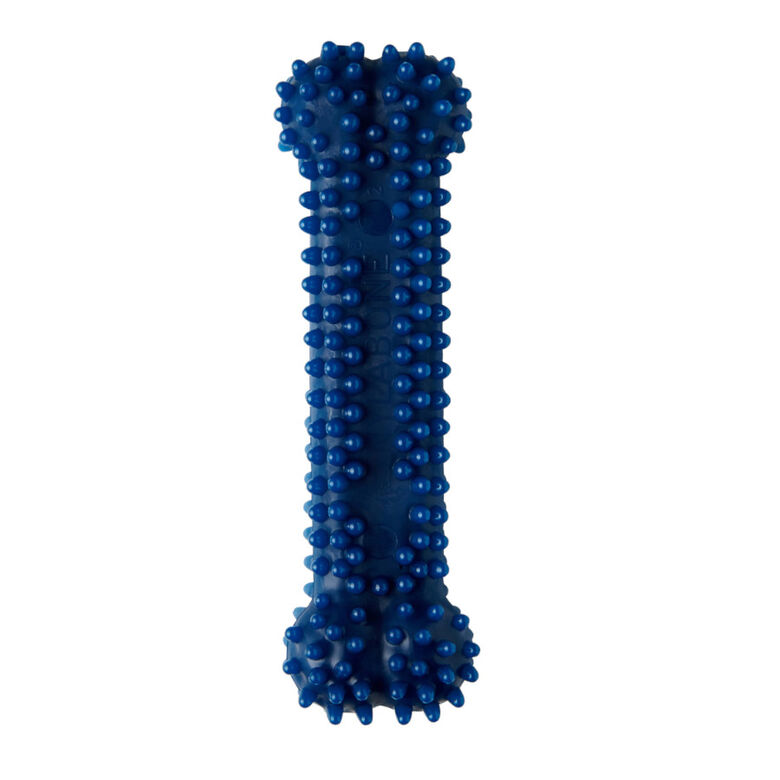 Nylabone Dental Chew Hueso mordedor para perros thumbnail