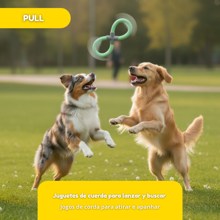 Tootoy! Mordedor de Cuerda Doble Azul y Verde para perro, , large Imagen numero 6