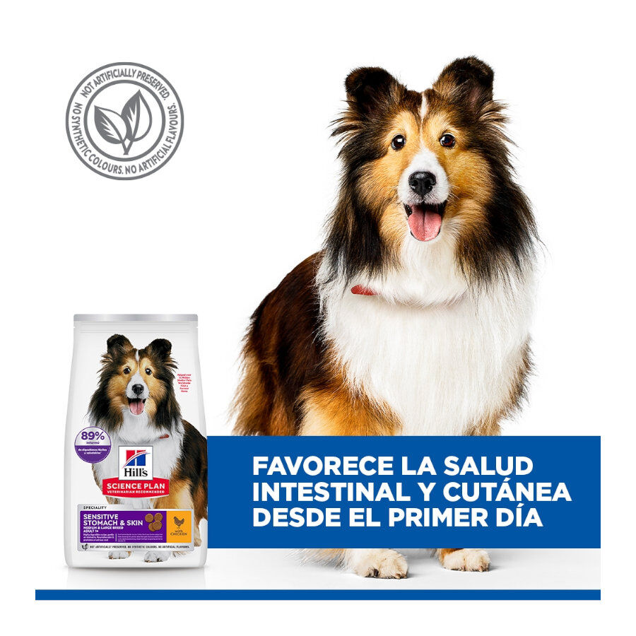14 kg Hill's Science Plan Sensitive Stomach y skin Adult Pollo pienso para perros, , large Imagen numero 4