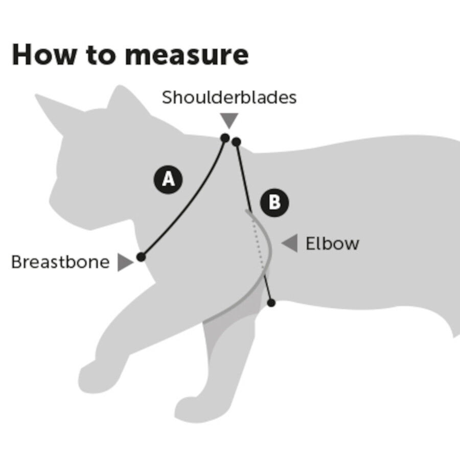 Flamingo Arn&eacute;s con Correa Ziggi Rojo para gatitos, , large Imagen numero 2