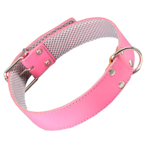 Arppe cuero rosa con forro interior collar perros Imagen numero 1