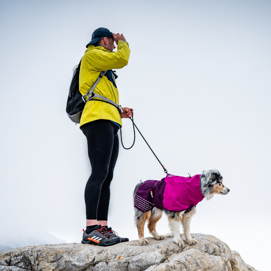 Non-stop dogwear Fjord Chubasquero Impermeable Púrpura para perros thumbnail