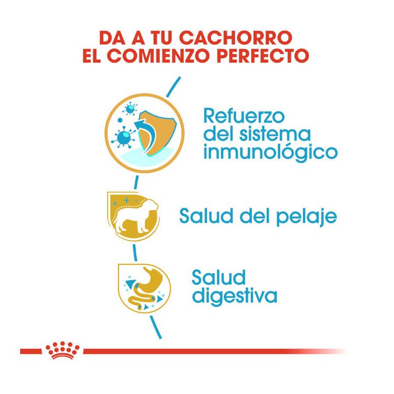 1.5 kg Royal Canin Puppy Yorkshire Terrier pienso para cachorros,  Imagen numero 5 1.5 kg Royal Canin Puppy Yorkshire Terrier pienso para cachorros, , large Imagen numero 5