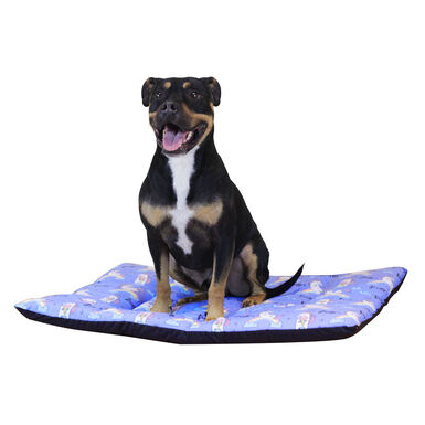 camas para perros kiwoko