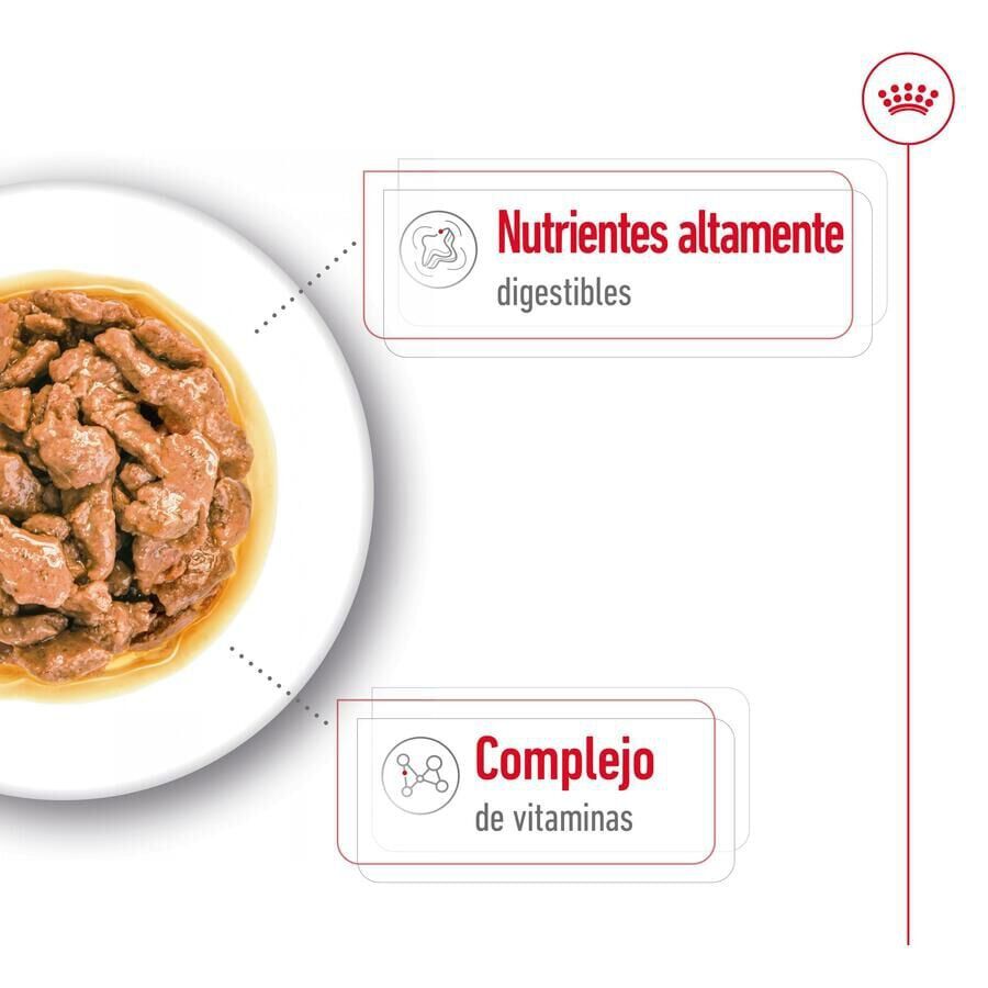 Royal Canin Mini Adult sobre en salsa para perros thumbnail