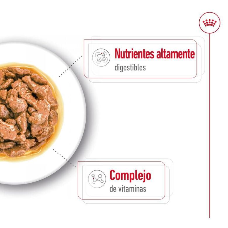 Royal Canin Mini Adult sobre en salsa para perros thumbnail