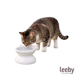 Leeby Comedero Elevado Inclinado de Cer&aacute;mica Blanco para gatos