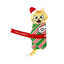 Kong Holiday Pull-A-Part Present juguete para gatos , , large indicador imagen numero 1