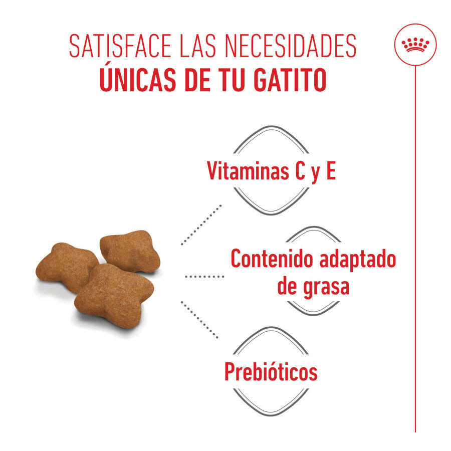 Royal Canin Kitten Sterilised pienso para gatos thumbnail