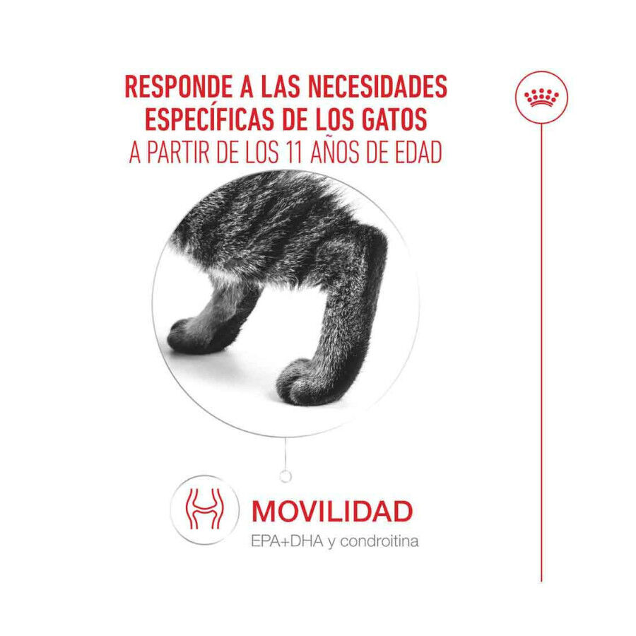 Royal Canin Ageing 11+ pienso para gatos thumbnail