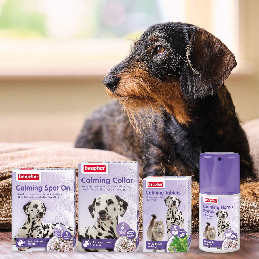 Beaphar Calming Pipetas Relajantes para perros thumbnail