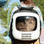 Cecotec Pumba 1800 Travel Fan Transportín para perros y gatos, , large indicador imagen numero 9