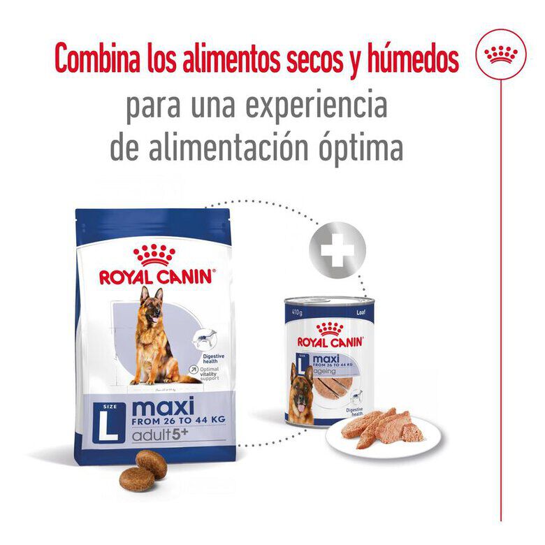 Royal Canin Maxi Adult 5+ pienso para perros senior de raza grande thumbnail