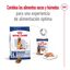 15 kg Royal Canin Maxi Adult 5+ pienso para perros senior de raza grande, , large indicador imagen numero 11