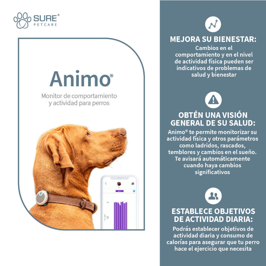 Sure Petcare Animo monitor de Conducta para perros, , large Imagen numero 4