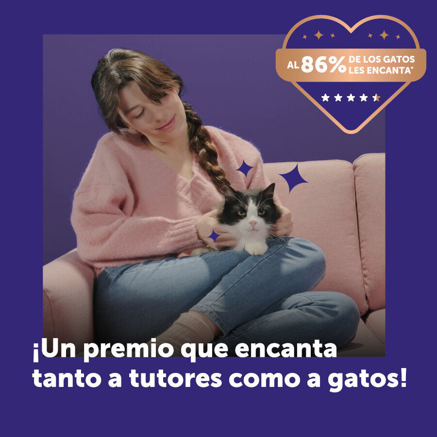 24 barritas Feliway Ceva Happy Snack Salm&oacute;n para gatos, , large Imagen numero 8