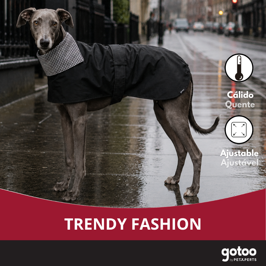 Gotoo Abrigo Gabardina para galgos, , large Imagen numero 6