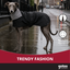 Gotoo Abrigo Gabardina para galgos, , large indicador imagen numero 6