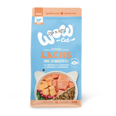 Wow Adult Salmón pienso para gatos