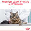 85 g Royal Canin Hairball Care Sobre en Gelatina para gatos, , large indicador imagen numero 3