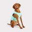 GF Pet ElastoFit Ice Vest Chaleco Refrescante para perros, , large indicador imagen numero 3