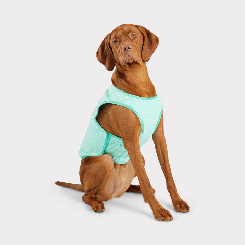 GF Pet ElastoFit Ice Vest Chaleco Refrescante para perros thumbnail