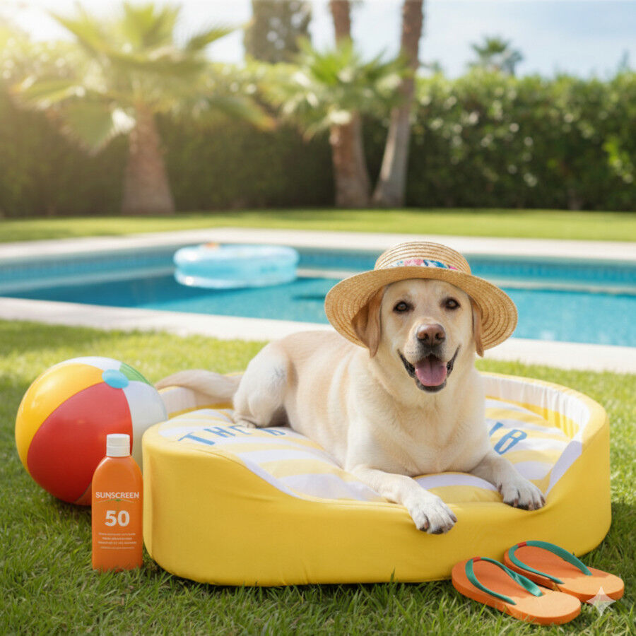 Summer Vibes Cama Refrescante Rayas Amarillo para perros, , large Imagen numero 1