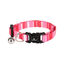 Flamingo Collar Alfry para gatitos, , large indicador imagen numero 1