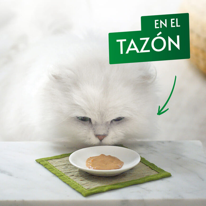 Gourmet Nature’s Creations Snack Húmedo de Buey para gatos thumbnail