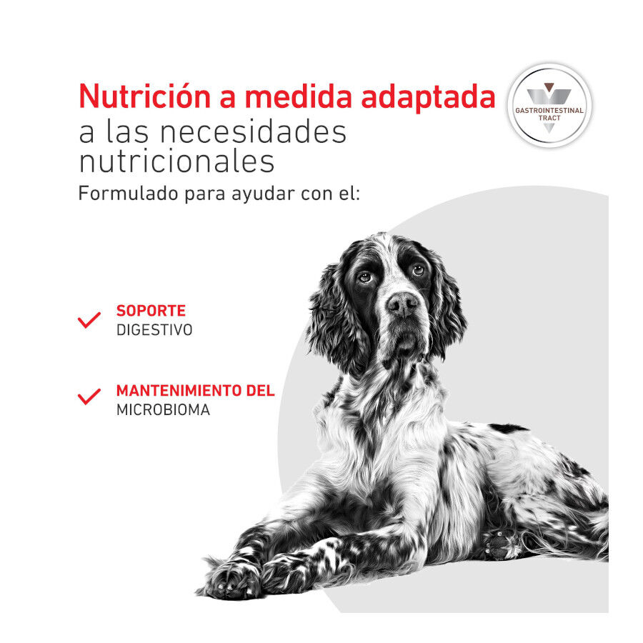 400 g Royal Canin Veterinary Diet Gastrointestinal lata para perros  , , large Imagen numero 4