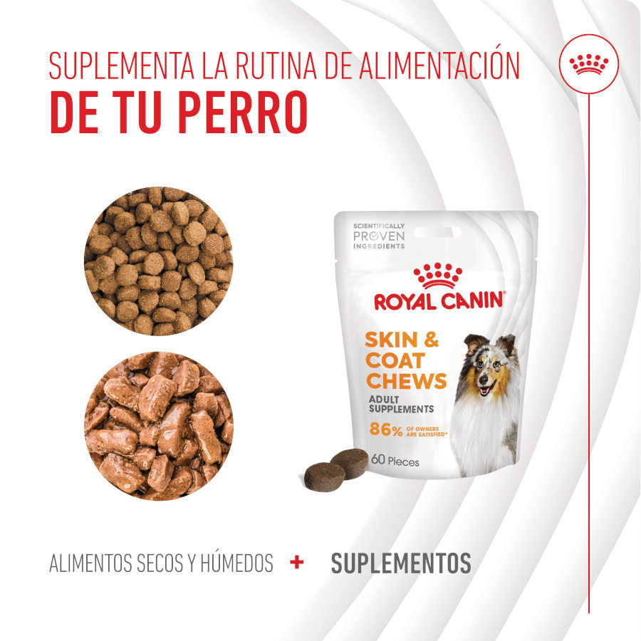 Royal Canin Skin &amp; Coat Chews Adult Suplemento nutricional para perros thumbnail