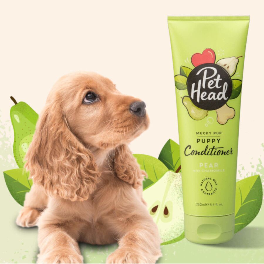 Pet Head acondicionador de pera para cachorros, , large Imagen numero 2
