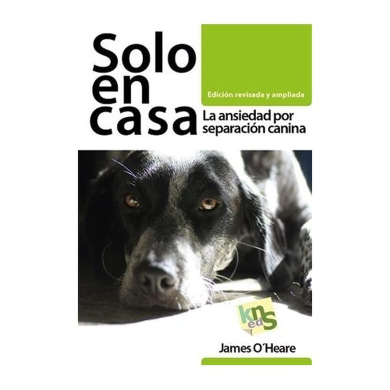 Kns Solo en casa. La ansiedad por separación canina image number null