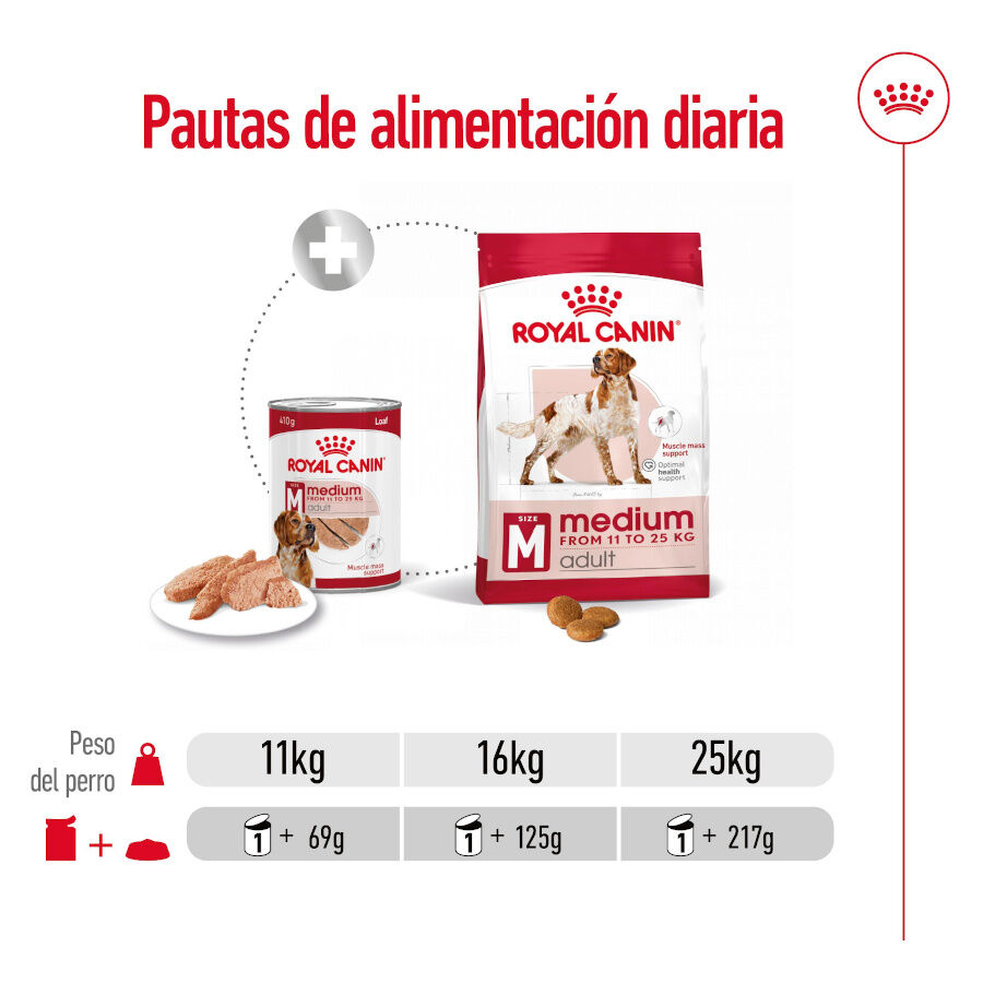 Royal Canin Medium Adult Paté lata para perros thumbnail