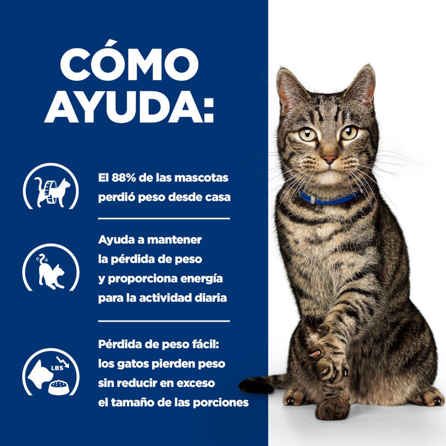 12 sobres x 85 g Hill's Prescription Diet Metabolic Feline pouches para gato , , large Imagen numero 10