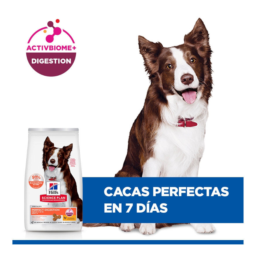 14 kg Hill's Science Plan Perfect Digestion Adult Medium Pollo pienso para perros, , large Imagen numero 5