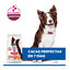 14 kg Hill's Science Plan Perfect Digestion Adult Medium Pollo pienso para perros, , large indicador imagen numero 5