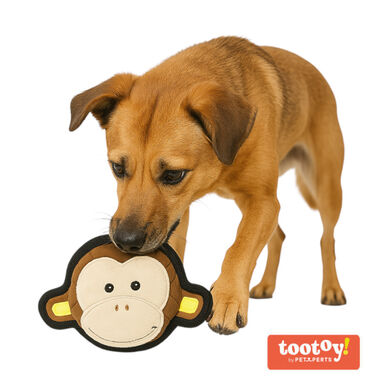 Tootoy! UResist Monkey Cuddler peluche resistente para perros