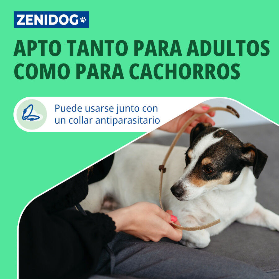 Virbac Zenidog Collar Calmante para cachorros, , large Imagen numero 5