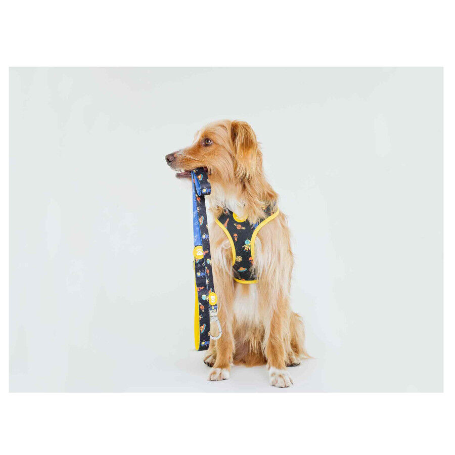 Dukier Space Correa Estampado Espacial para perros, , large Imagen numero 2