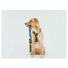 Dukier Space Correa Estampado Espacial para perros, , large image number null